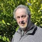 David Bereson Pic 1